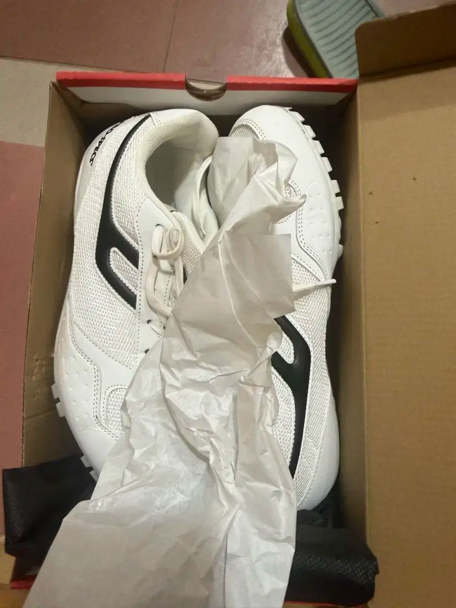 Mizuno Pro トレーニングシューズ(27.0cm) ミズノプロ トレーニング