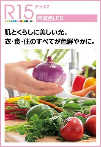 オーデリック LED非常灯