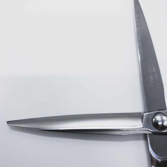 トラックスシザー ts_ts_top_mode.jpg