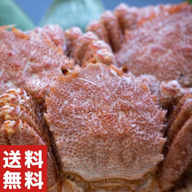 大 訳アリ!ボイル毛蟹 約4kg ◆毛ガニ 毛がに けがに 活 毛蟹 函館 かにみそ