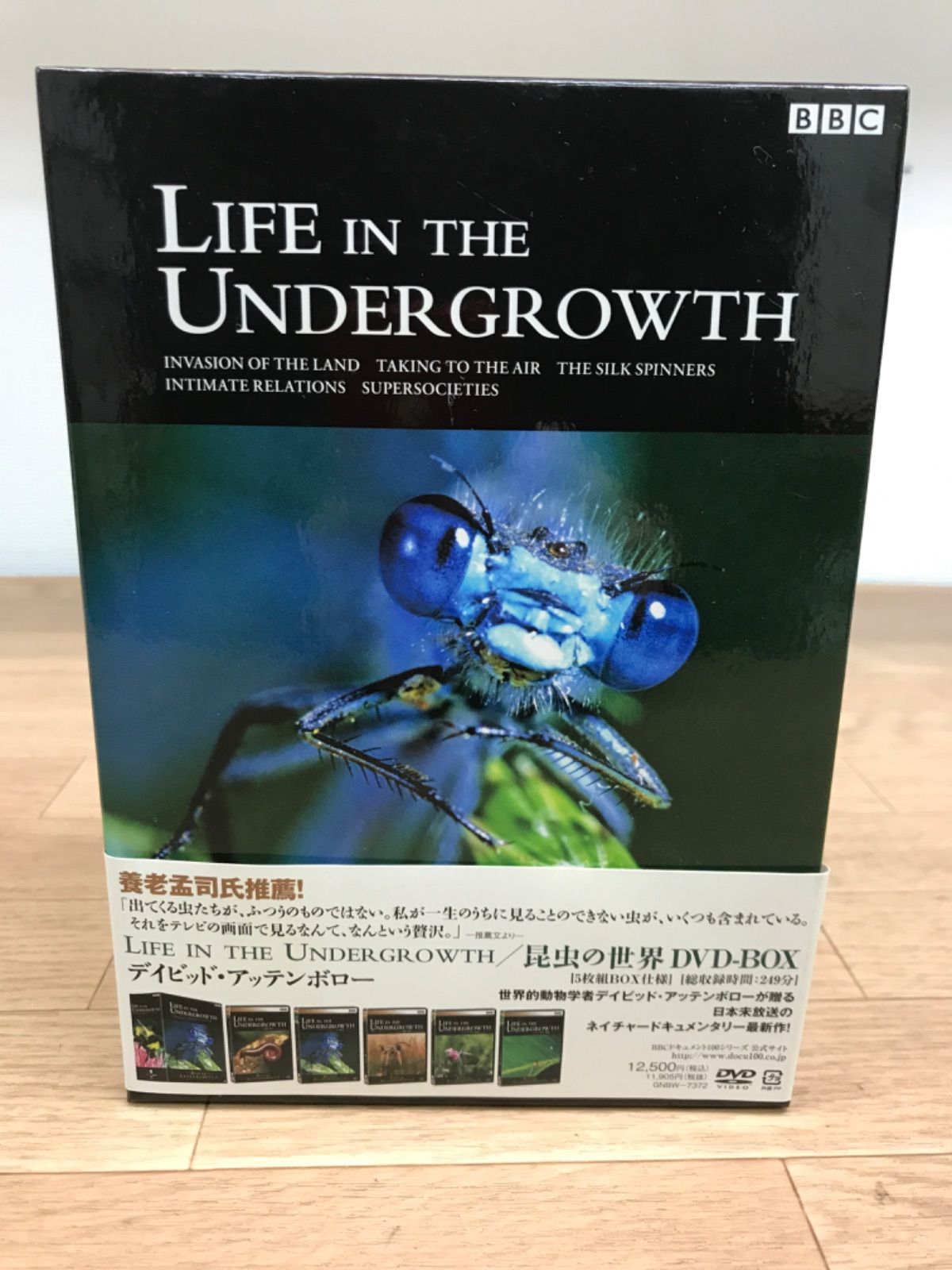 LIFE IN