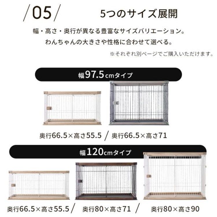 おしゃれ サークル