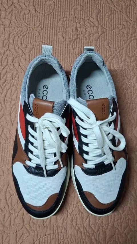 思い出 255 Ecco エコー カジュアル ゴルフシューズ 1006