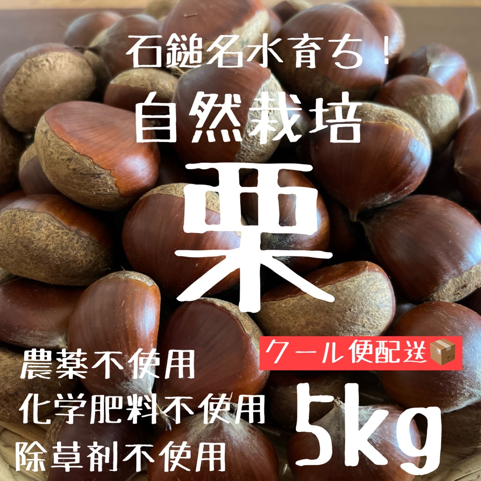 農薬＊化学肥料＊除草剤不使用 自然栽培 愛媛産温州ミカン早生 10キロ