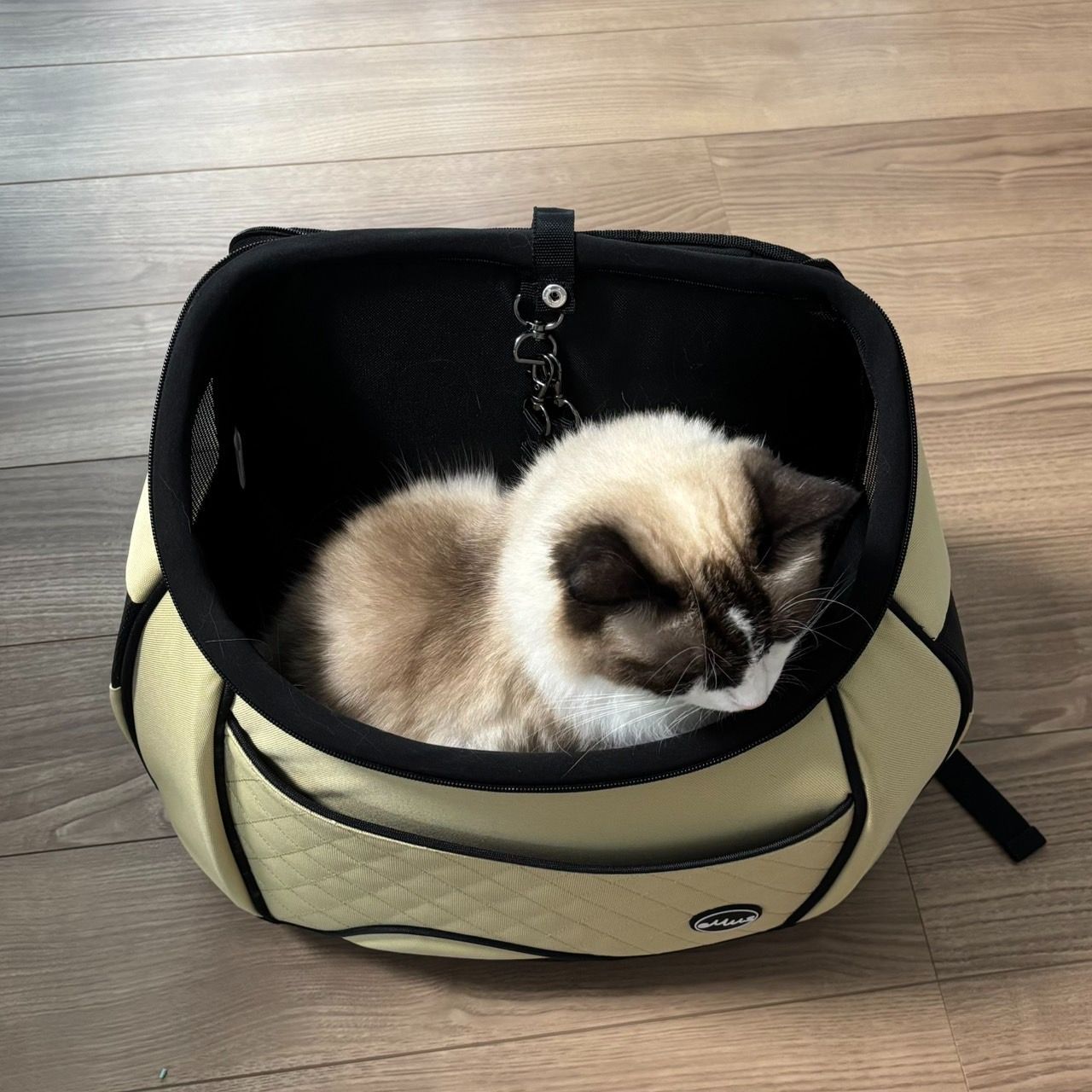 eMusリュックキャリーM ベージュ 犬 猫 キャリーバッグ エミューズ eMus エミューズ リュックサックキャリー Mサイズ （レッド、ベージュ