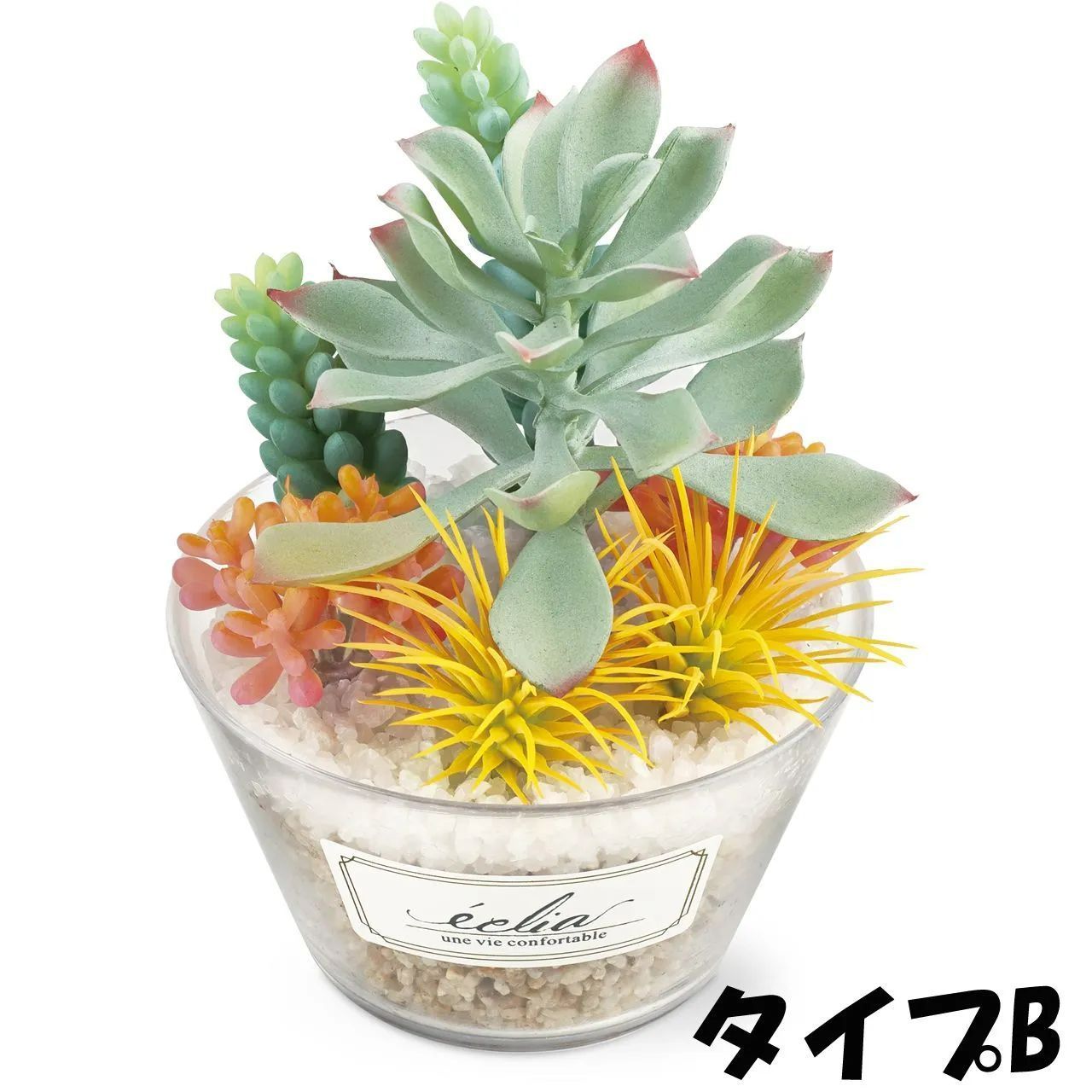 非常に高い品質 新品 未使用 パステルカラーのカラフルな多肉植物 L 置物 Urologydurban Co Za Urologydurban Co Za