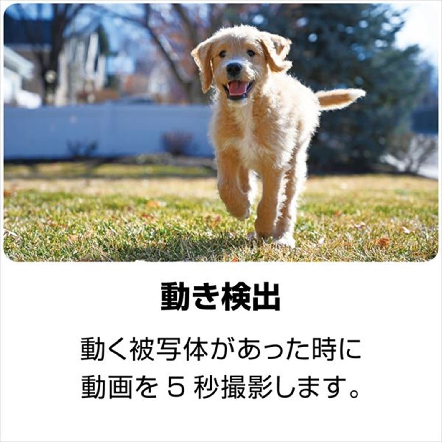 デジタルカメラ