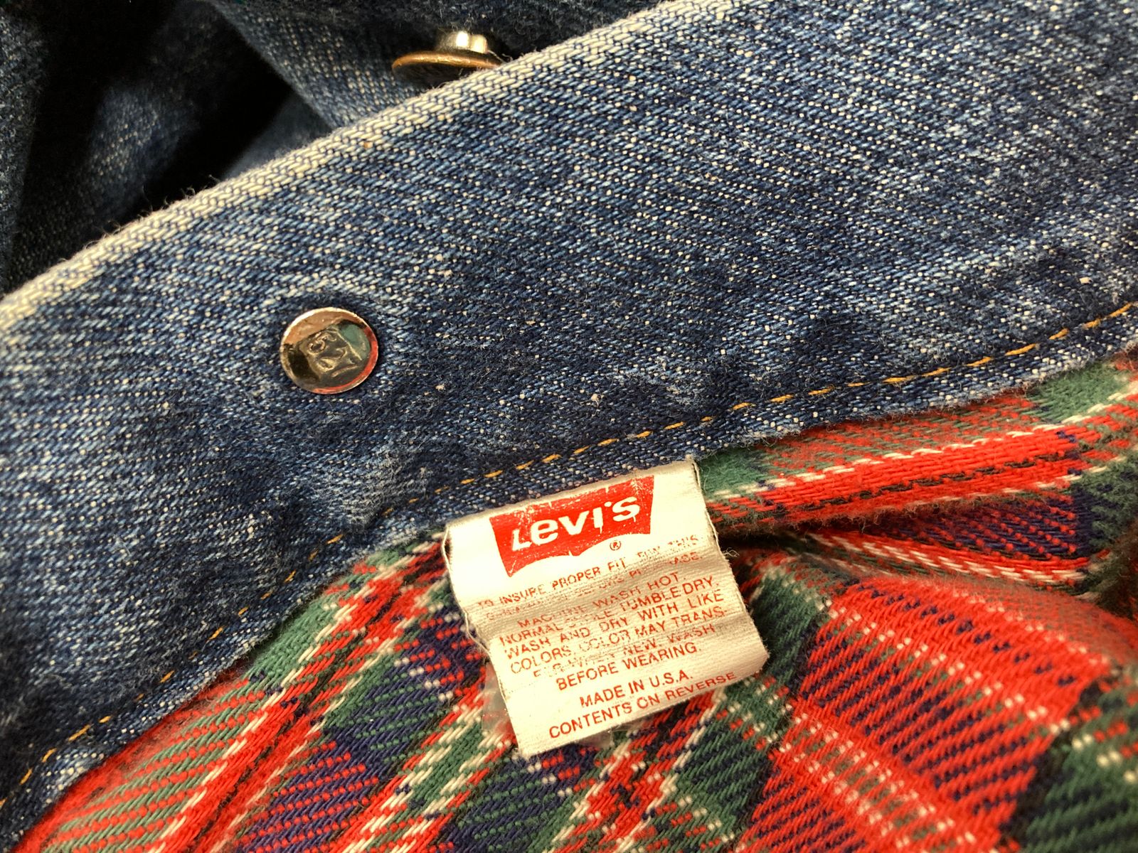Levi