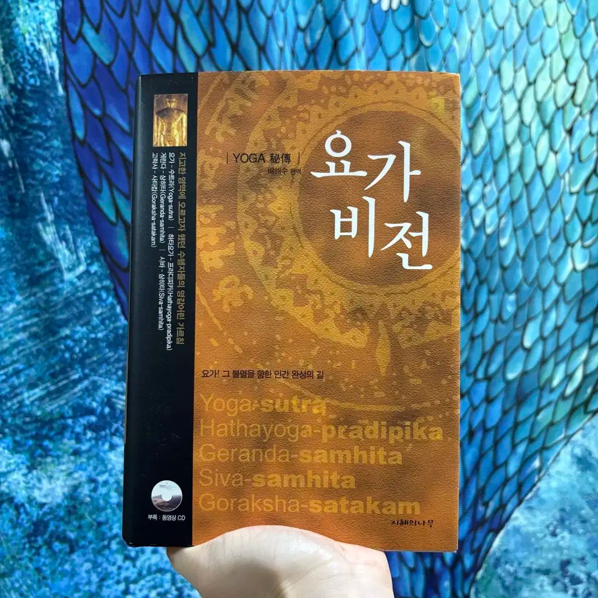 ヨガビジョン 歩道 トラディショナルヨガ 聖典