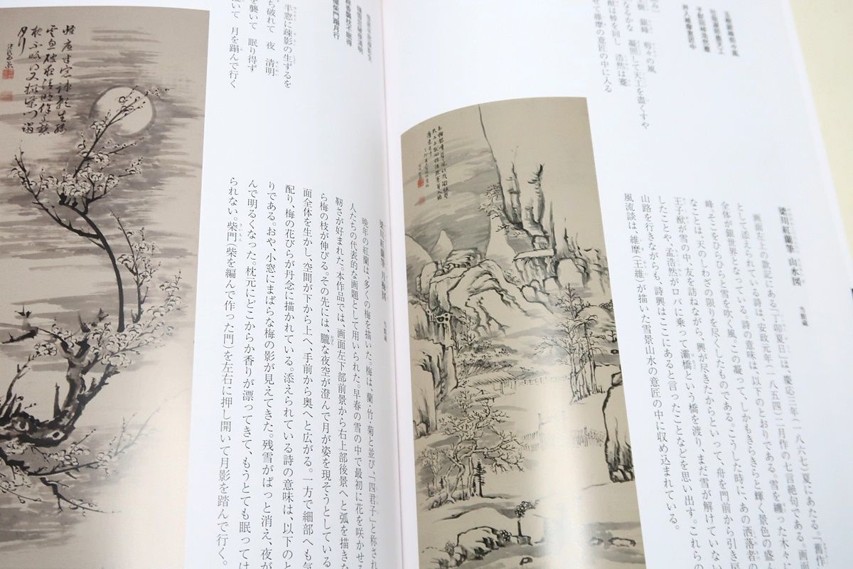 梁川紅蘭・女流文人画家の華麗なる世界/紅蘭の波乱に満ちた人生