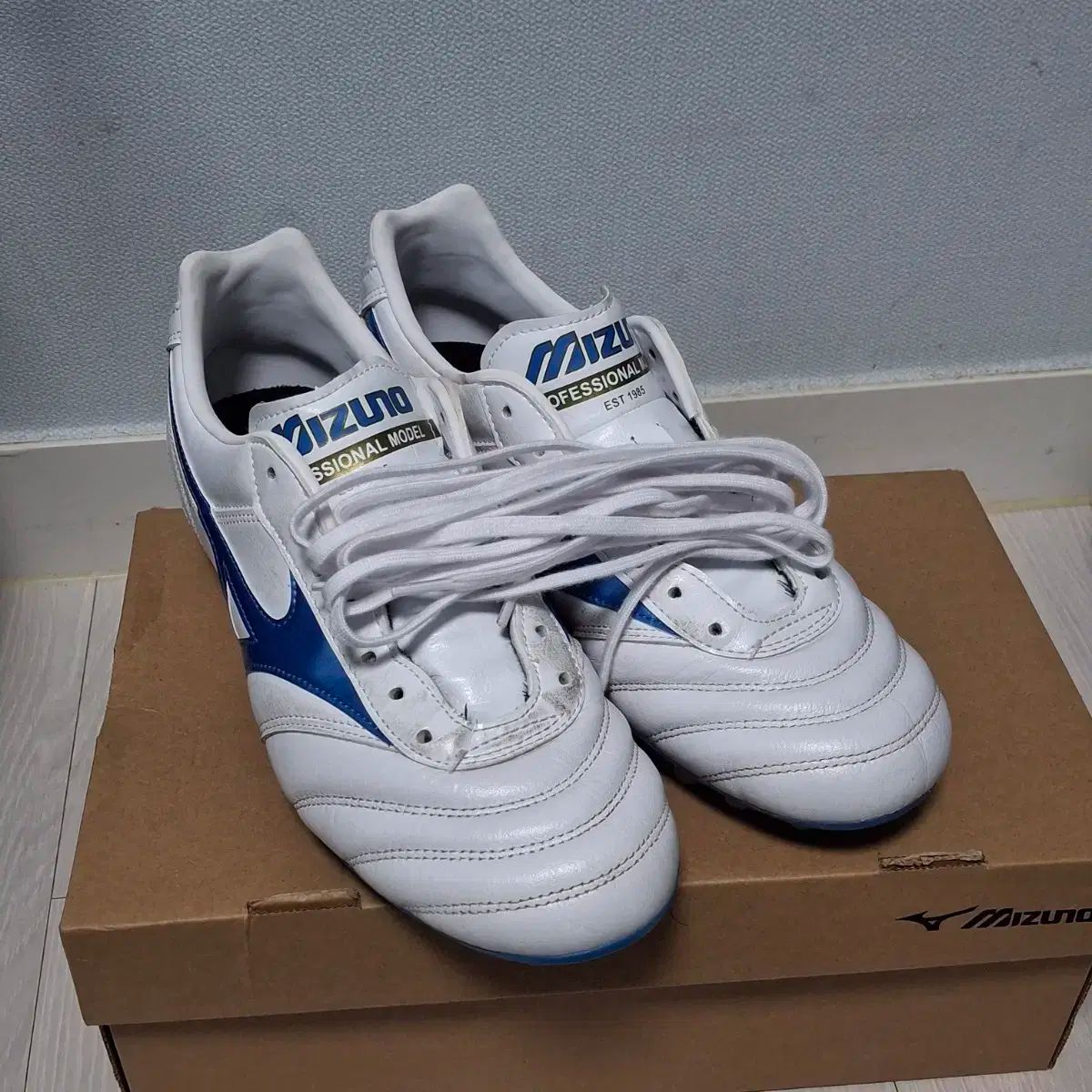 【雷市場（ポンジャン）商品韓国直送】 mizuno(ミズノ) モレリア 2 プロ AG 260