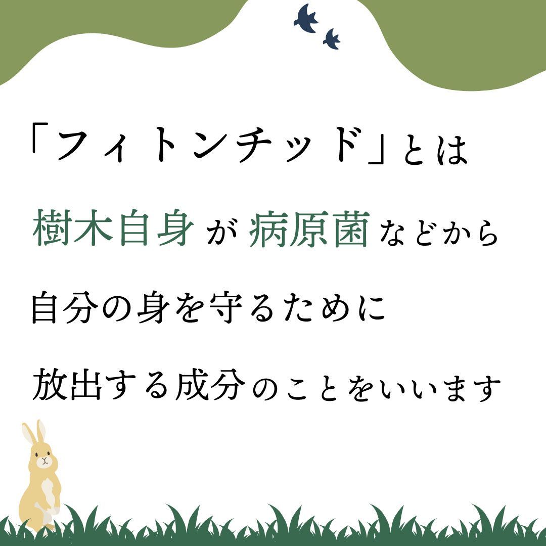 除菌 加齢臭対策