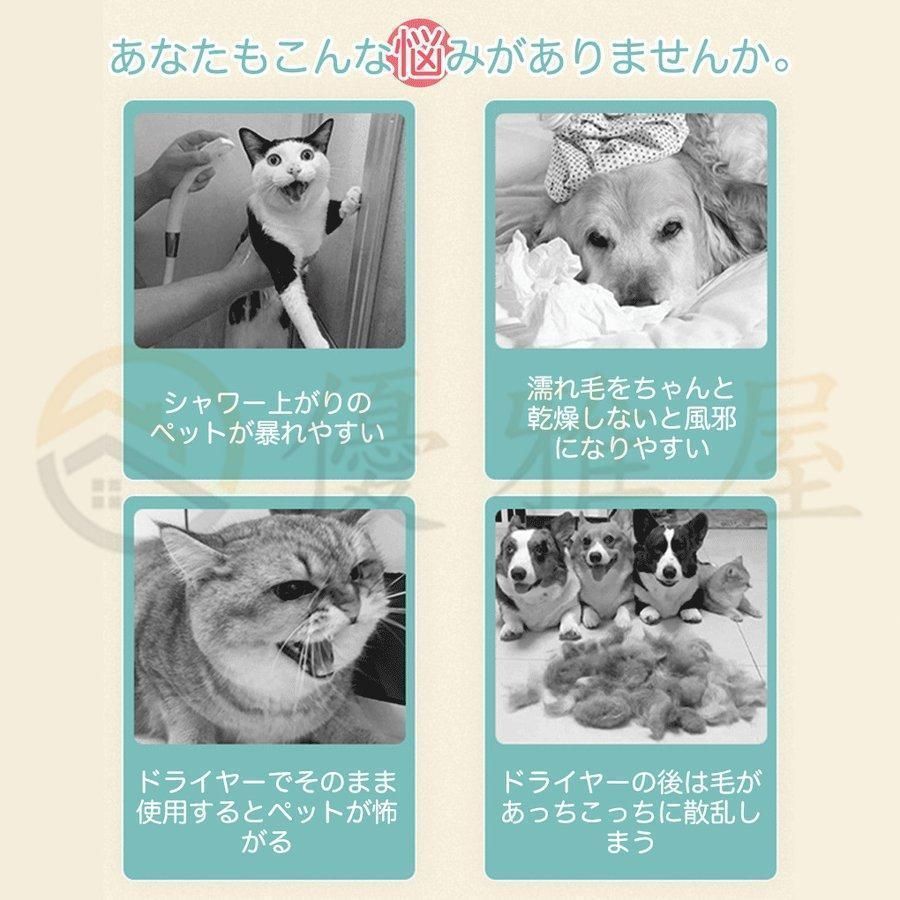 ペット