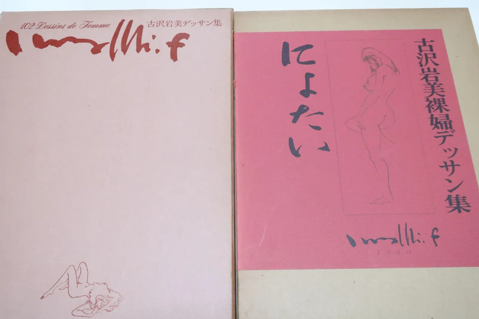 古澤岩美デッサン集　1970 erotico 古澤岩美デッサン集 1970 erotico