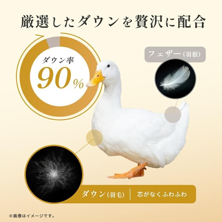 西川 羽毛布団 シングル ホワイトダックダウン90 360dp以上 増量1.2kg 立体キルト 羽毛掛け布団 リヨセル混生地 3SA-KA05293303 MARWIL-DEMENAGEMENTS_CH