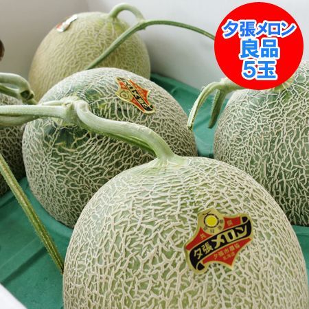 夕張メロン 送料無料 夕張メロン 8kg5玉入 1箱(1ケース) 北海道 夕張 メロン 良品 夕張メロン 夕張農協共撰 メロン ゆうばりめろん 送料無料 果物 フルーツ くだもの メロン