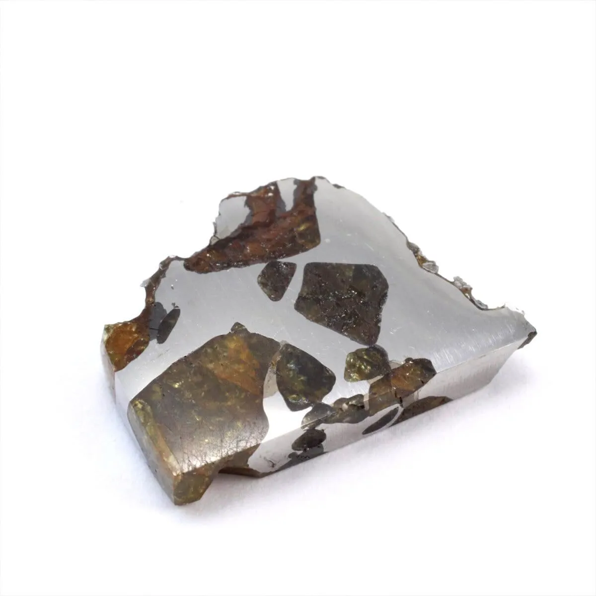 2026年最新】イミラックパラサイトの人気アイテム - メルカリ