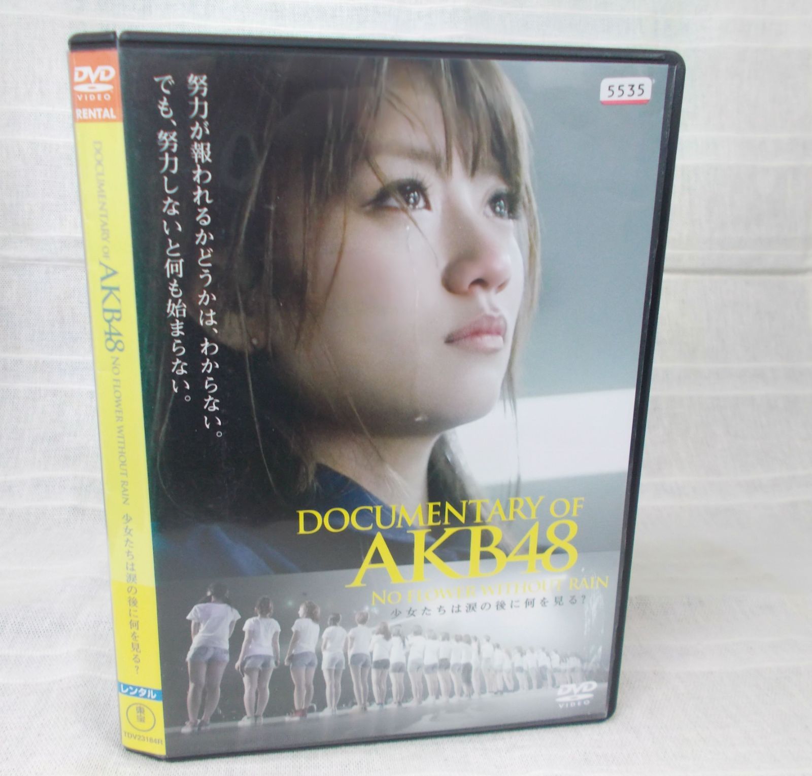 DOCUMENTARY of AKB48 NO FLOWER WITHOUT RAIN　少女たちは涙の後に何を見る？　レンタル専用　中古　DVD　 ケース付き