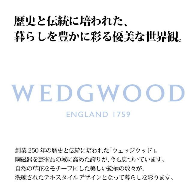WW7620