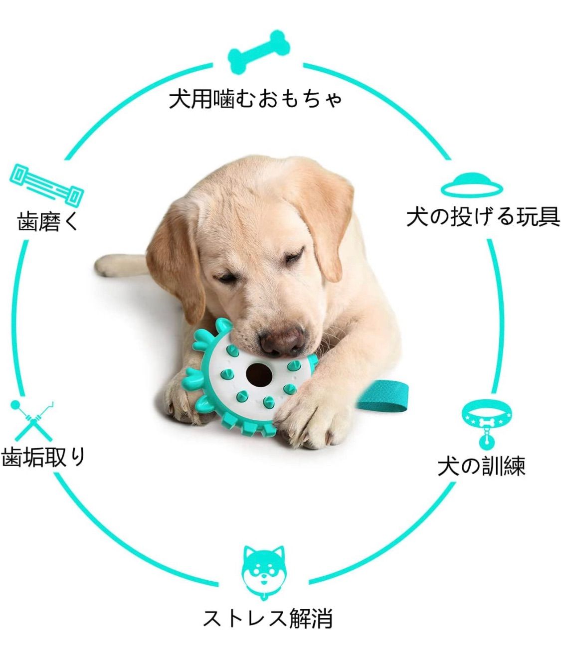 犬 フリスビー 大型犬 おもちゃ ストレス解消 投げる リング イエロー