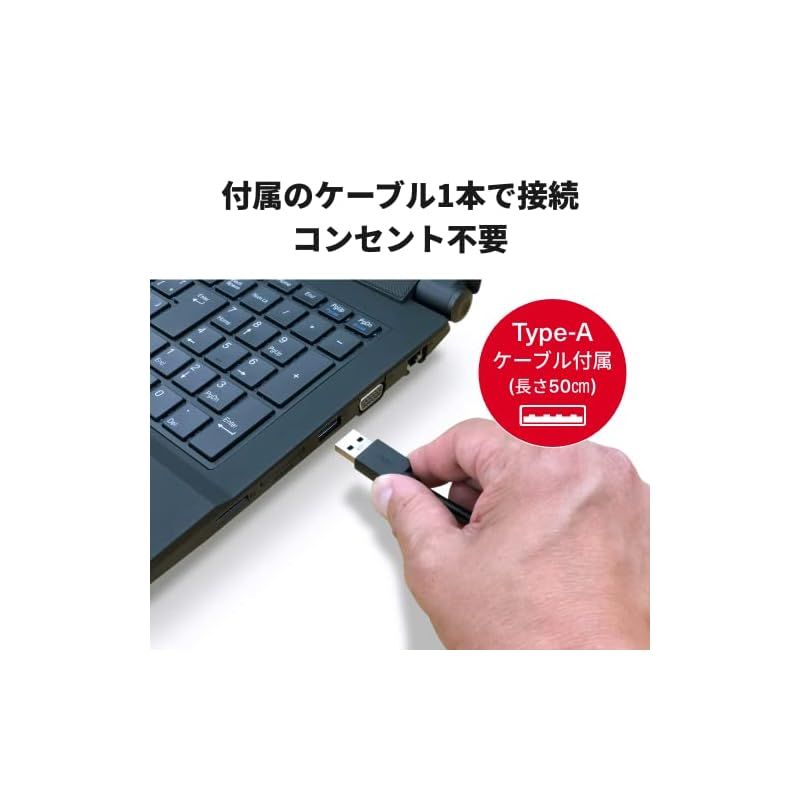 バッファロー