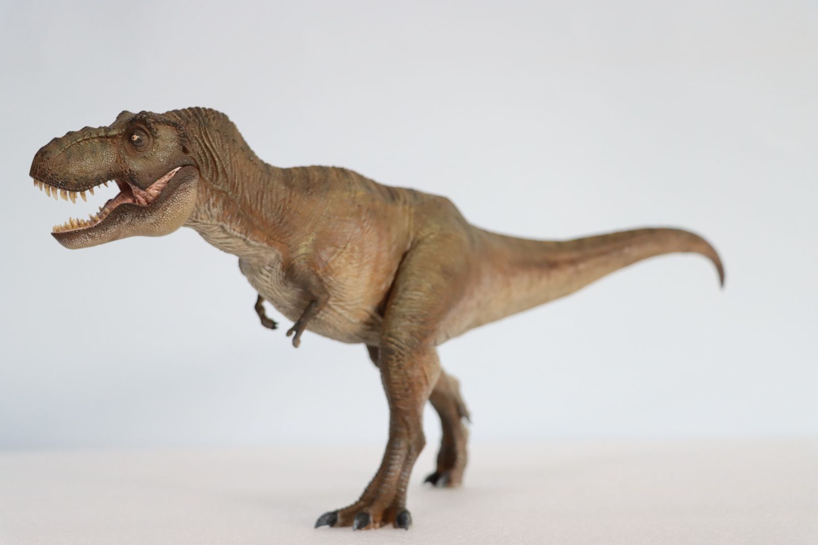 Nanmu 本心楠改 1/35 サイズ Alpha ティラノサウルス Tレックス Ｔ-REX 