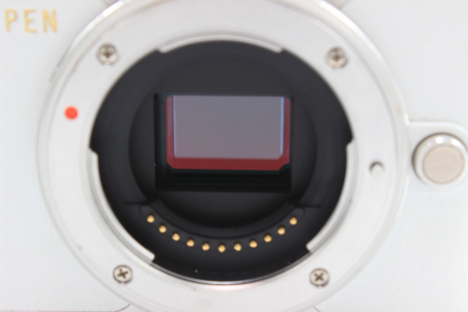  1897ショット OLYMPUS ミラーレス一眼 PEN E PL 9 ボディー ホワイト オリンパス ミラーレス一眼 デジタルカメラ