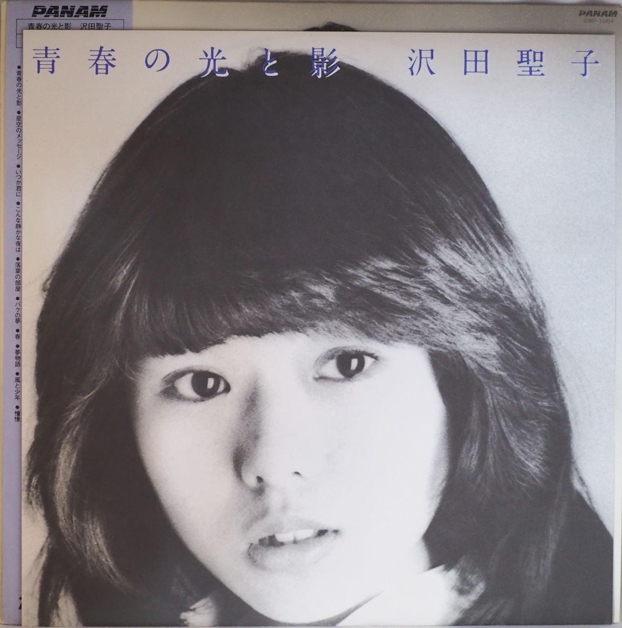 沢田聖子 夢のかたち - 邦楽