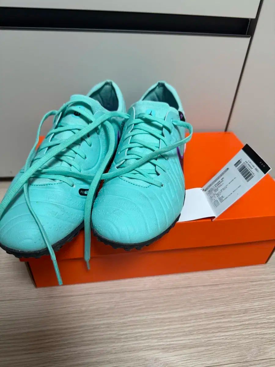 NIKE ナイキ ティエンポ レジェンド 10 TF 260 サッカーシューズ