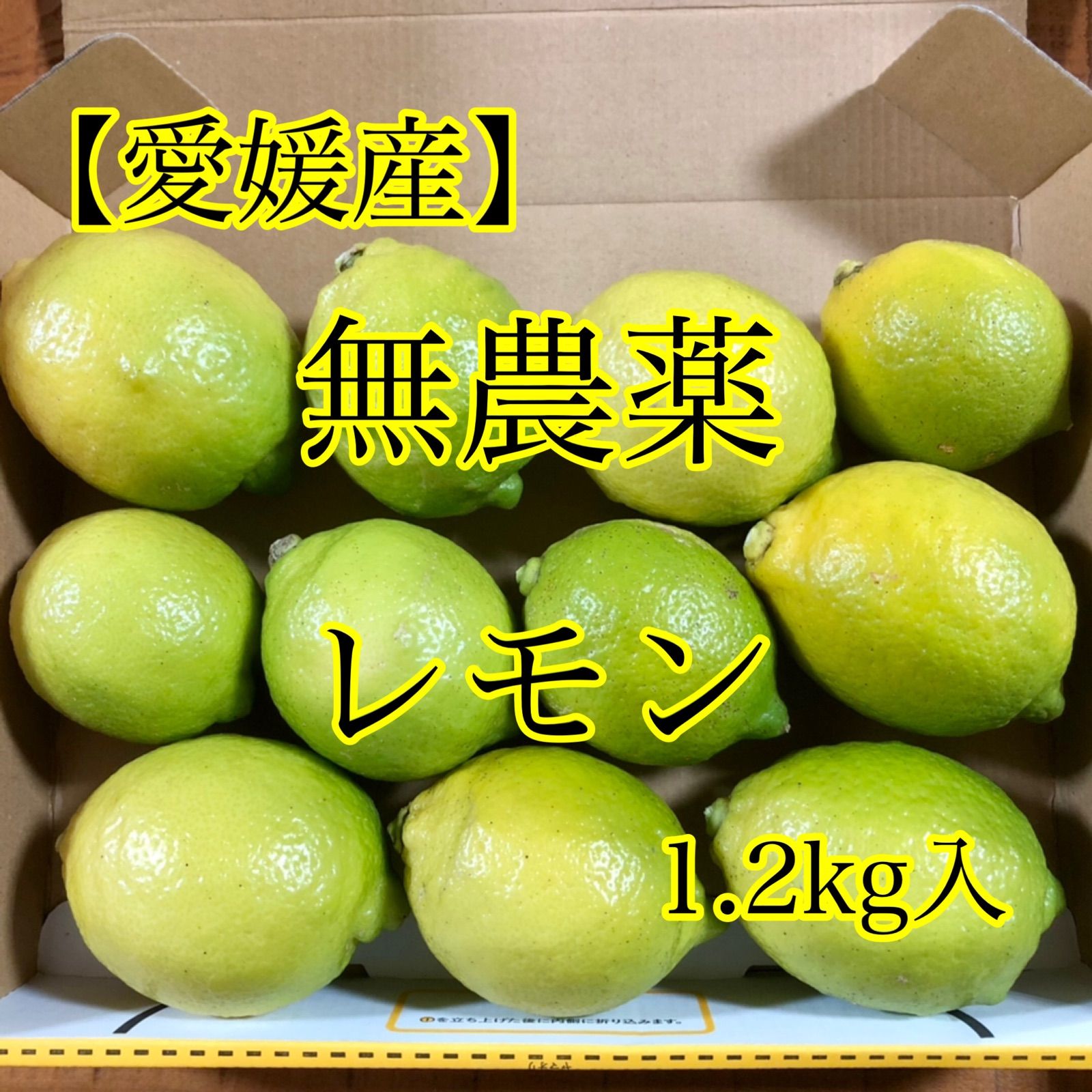 レモン 無農薬 1.2kg - 果物