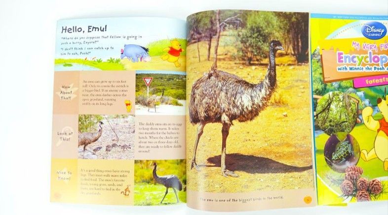 新品】ディズニー 英語絵本 百科事典 15冊 マイヤペン対応 