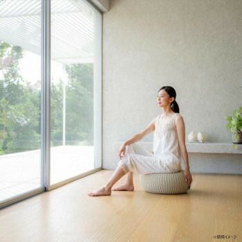 羽立工業 リブート バランスドーナツボールL アイボリー NH3626