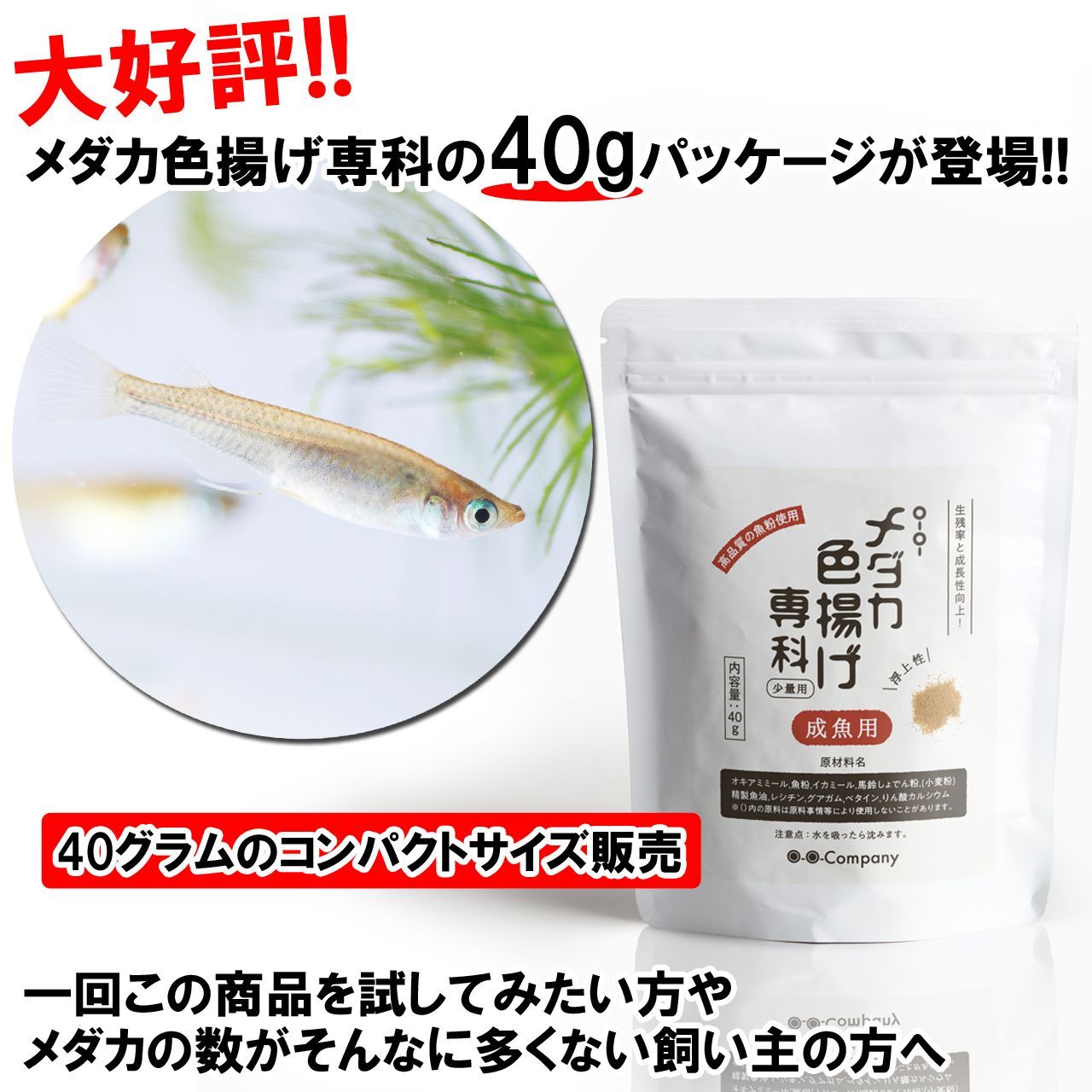 メダカ 色揚げ専科 (成魚用, 40g) メダカの餌 - メルカリ