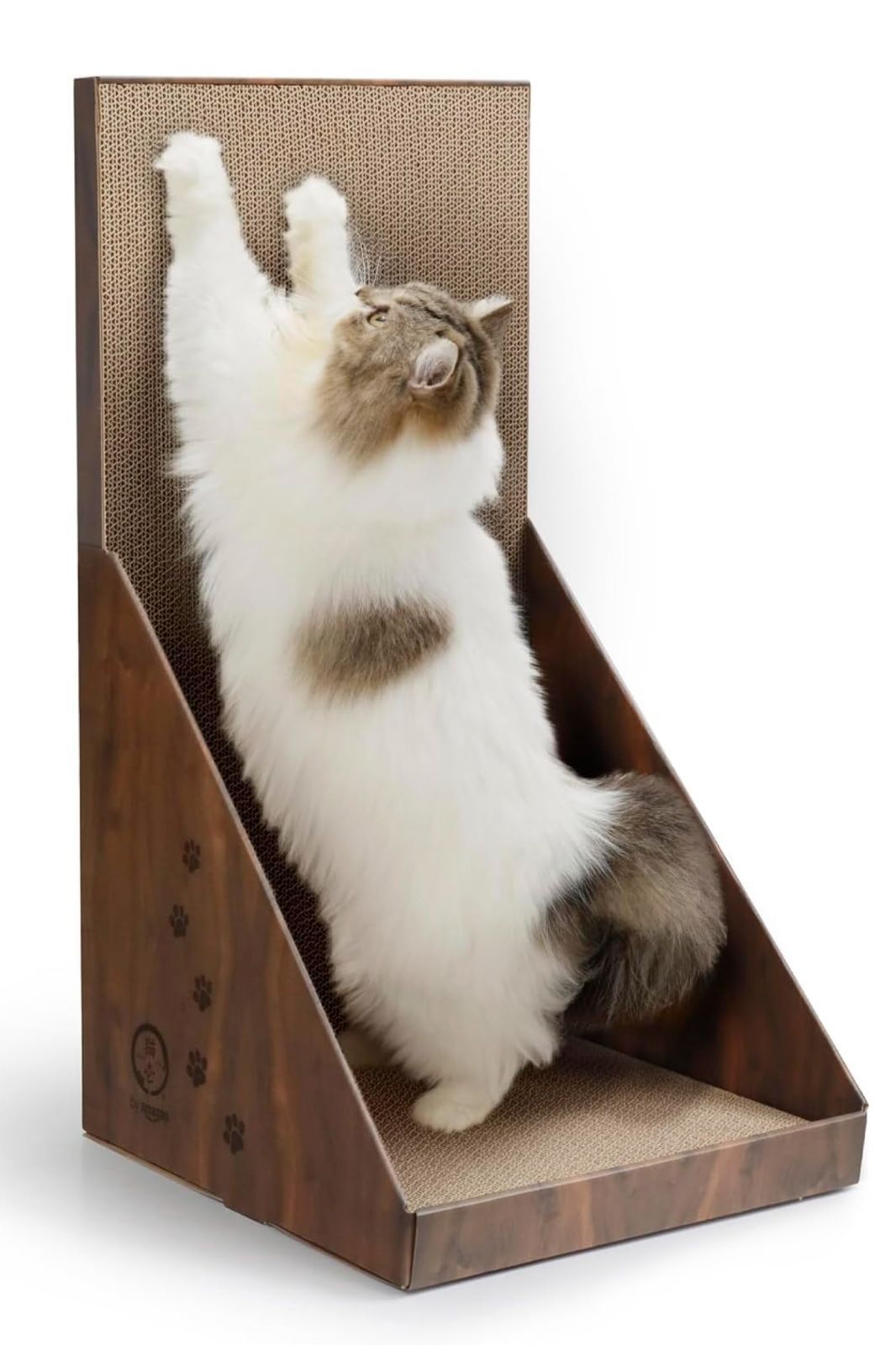 売切注意 お急ぎ下さい 爪とぎ 猫壱 バリバリボード Amazon ダークブラウン通常 by