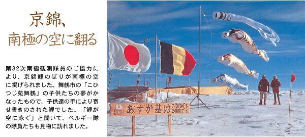 徳永鯉のぼりセット 未使用 4mセット 徳永鯉のぼりセット 未使用 4m