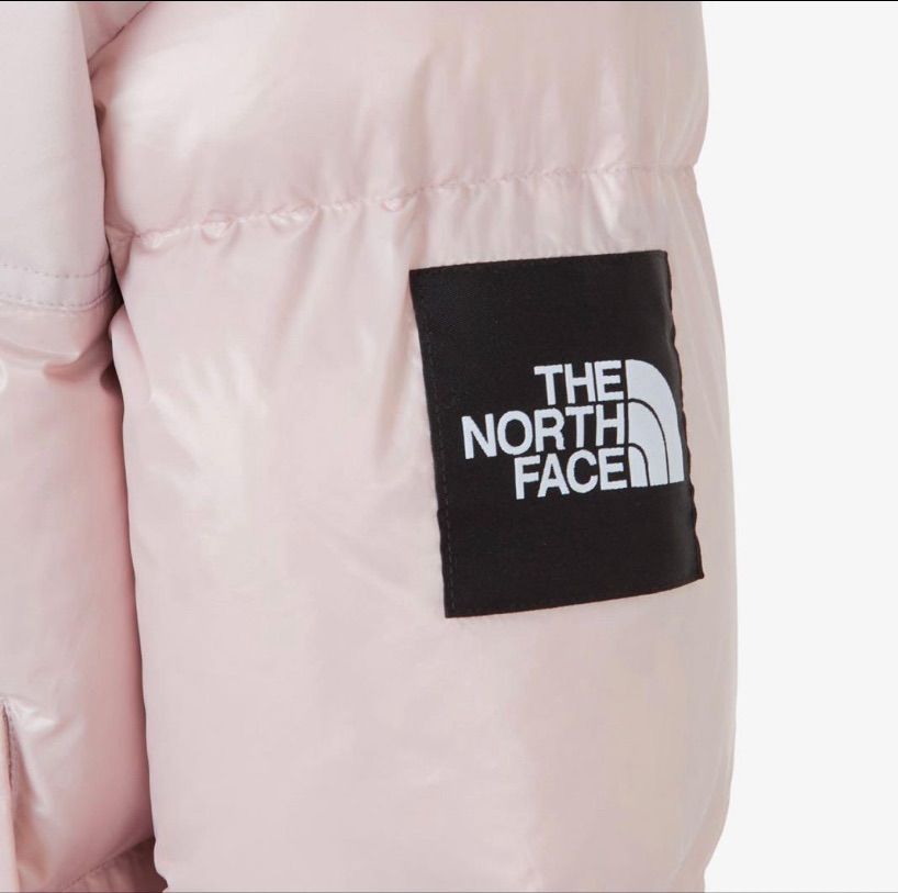 韓国限定！完売人気カラーピンク！サイズL THE NORTH FACE ノース