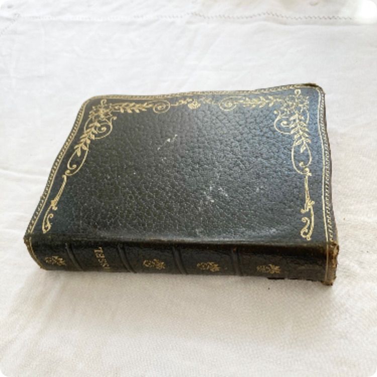 アンティーク　聖書 大型アンティーク聖書（1870 年代）ブラウンズ自訳聖書、大型