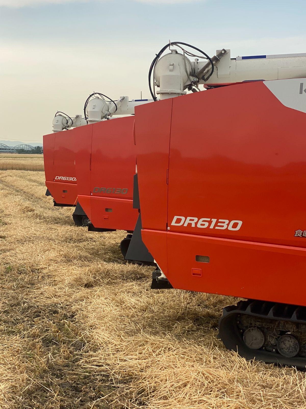 おいしいお米 つやつや