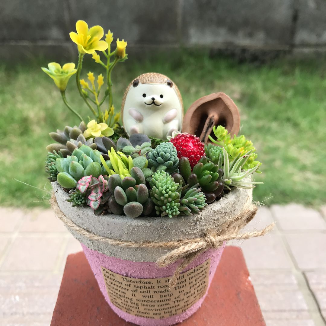 ♡そのまま飾れる♡リメ鉢♬はりねずみちゃんの多肉植物寄せ植え