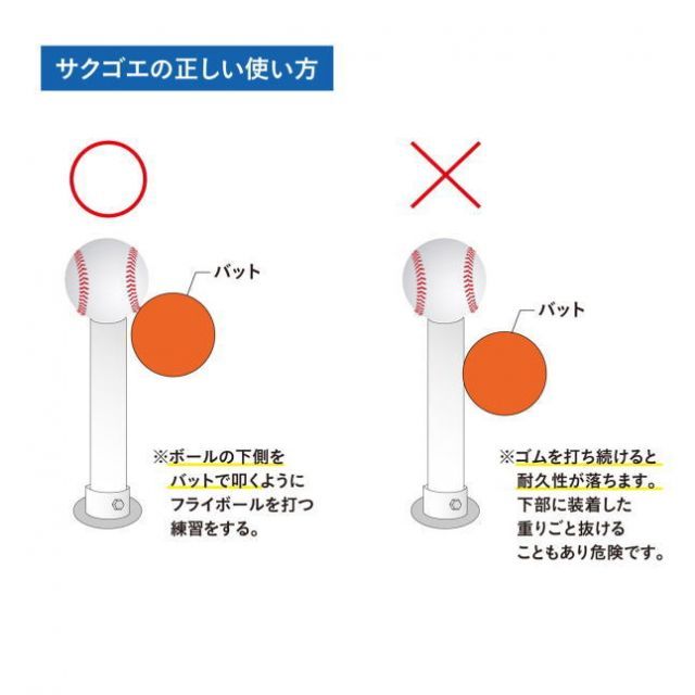 野球 強打者を育てるバッティングティー