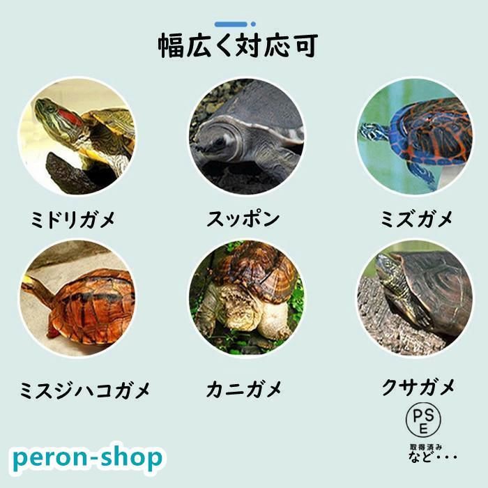 カメ 飼育ケース