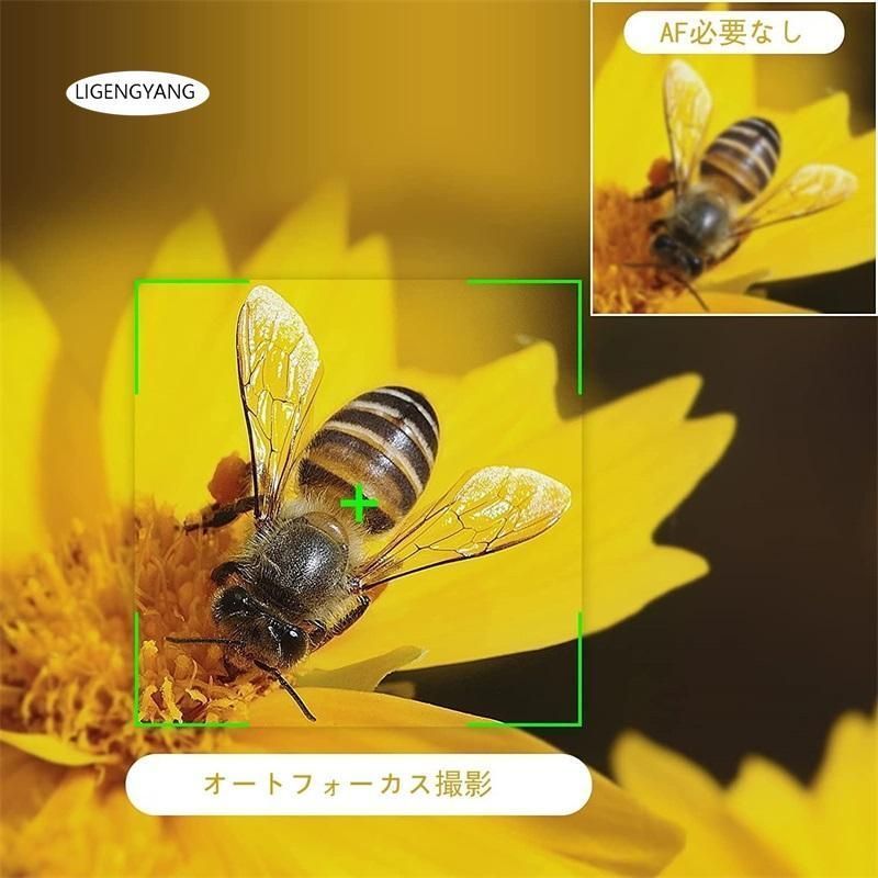 デジカメ デジタルカメラ 5600万画素 4K録画 20倍デジタルズーム 2.7インチIPS画面など 最大128GBのSDカード対応  ntEqQw 