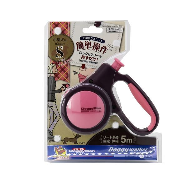 英版ライチュウ LeaguePromo 1ST-4TH PLACE 4枚セット