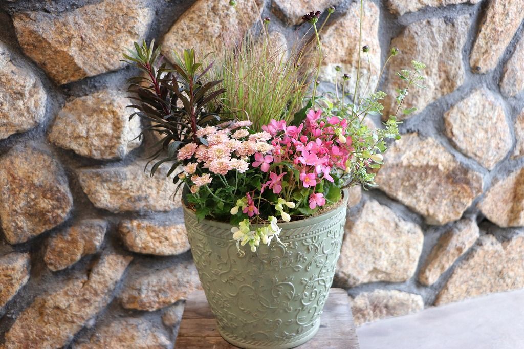 当店オリジナル