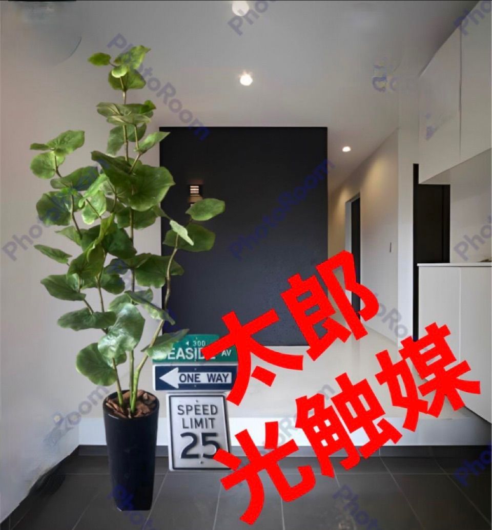 光触媒 人工観葉植物 ウォールグリーン フェイク アレンジ シーグレープ120ajg