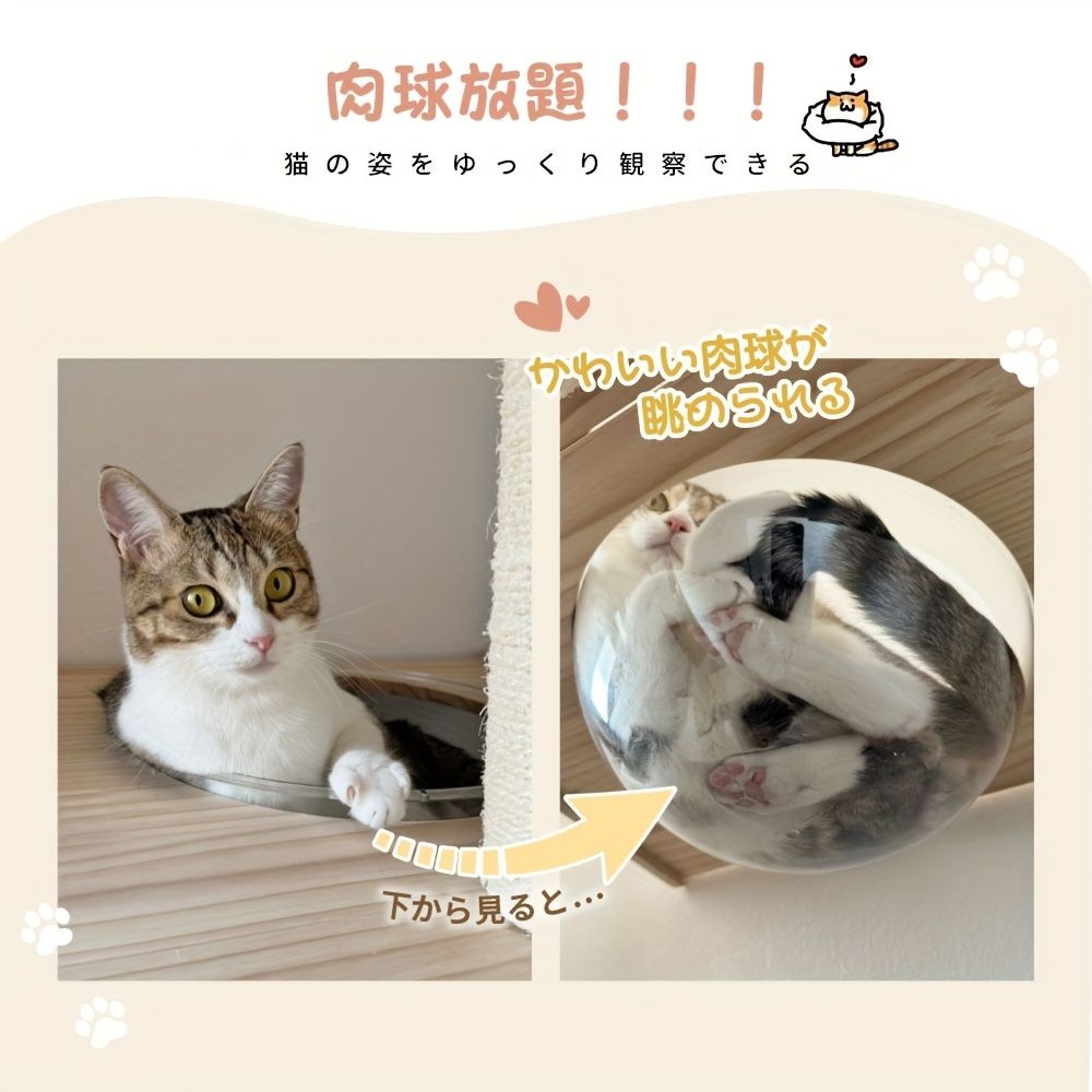登りやすい