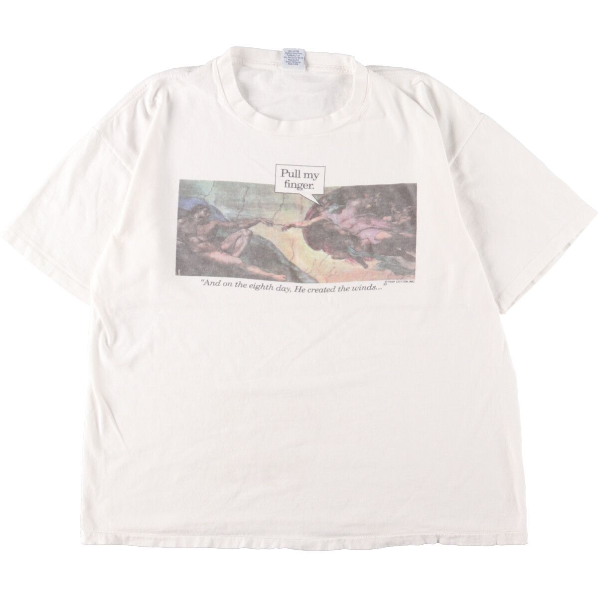 古着 90年代 HIGH COTTON INC MICHELANGELO ミケランジェロ アダムの 