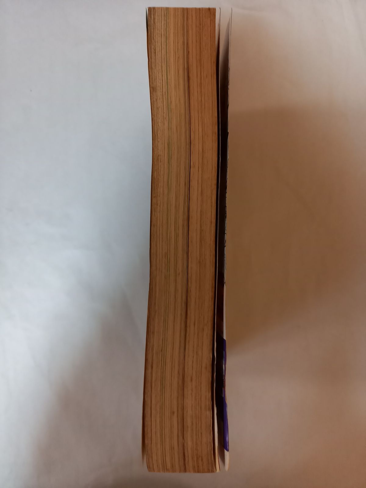 月刊Gファンタジー 1996年9月号 表紙：ファイアーエムブレム 