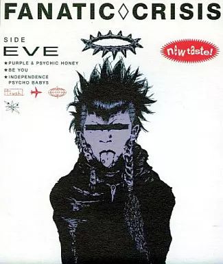 FANATIC CRISIS / CD13枚セット FANATIC CRISIS Single Collection 02 BEST - メルカリ
