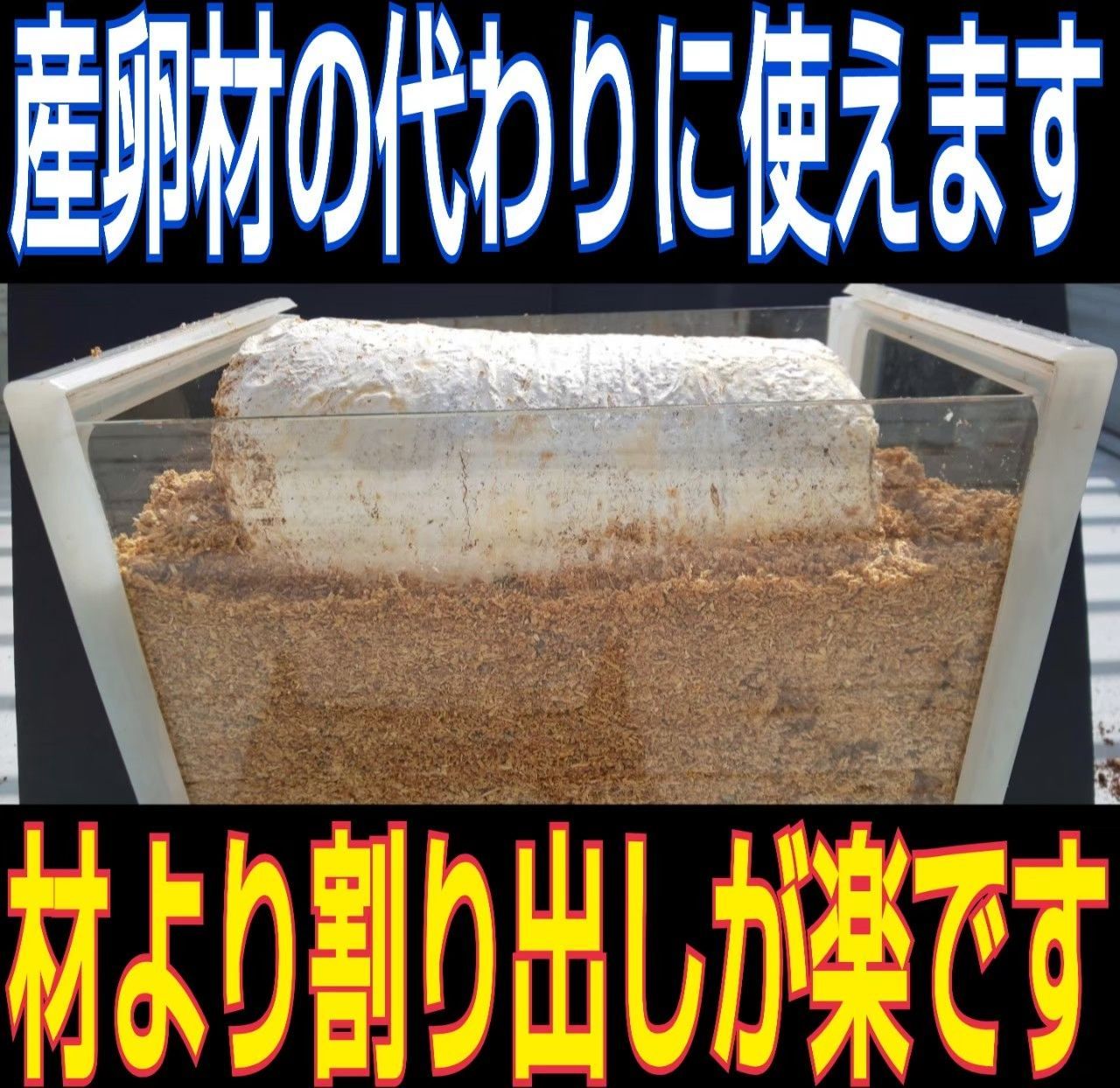 クワガタの産卵に使えます!オオヒラタケ菌床ブロック マットに クワガタの産卵に使えます!オオヒラタケ菌床ブロック マットに